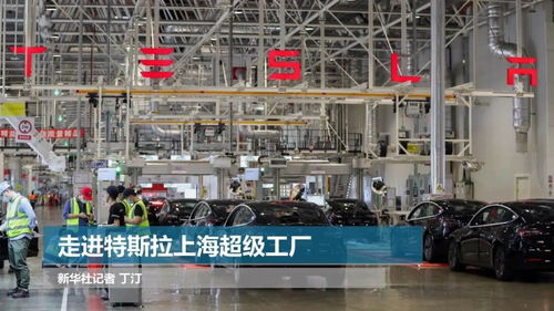 走進特斯拉上海超級工廠 探秘綠色智能制造的上海技術(shù)服務(wù)新標(biāo)桿